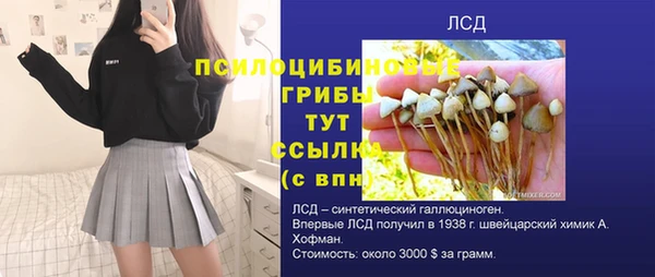 ECSTASY Баксан